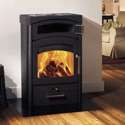 Kaminofen AUSTROFLAMM Pallas Back (9 KW)