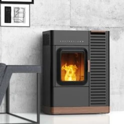 Kombiofen Pellet Und Scheitholz Austroflamm Mo Duo- Inklusive Inbetriebnahme