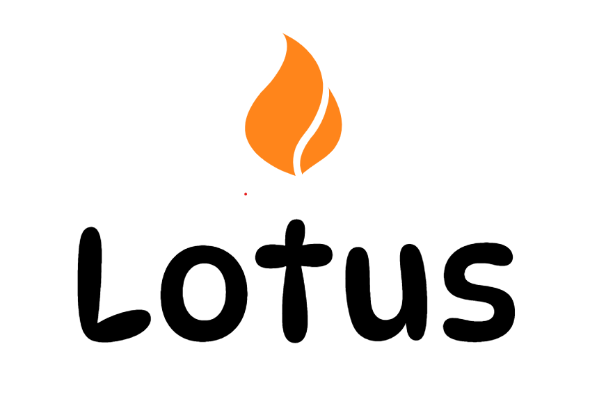 Lotus Fireplace Shop